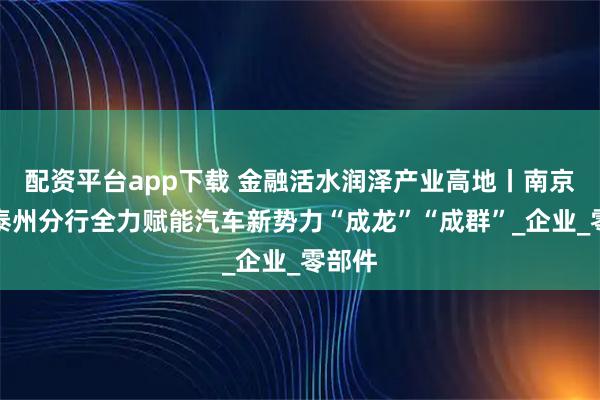 配资平台app下载 金融活水润泽产业高地丨南京银行泰州分行全力赋能汽车新势力“成龙”“成群”_企业_零部件
